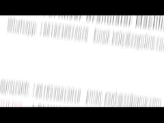 有機肥料の生産ライン, 有機肥料のグラナレーターマシン